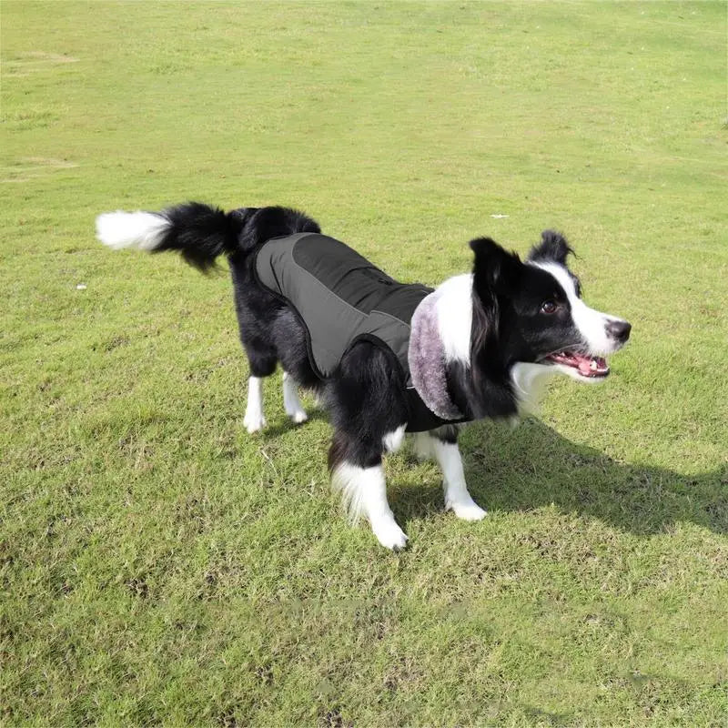 Reflective Warm Dog Jacket for Large Dogs